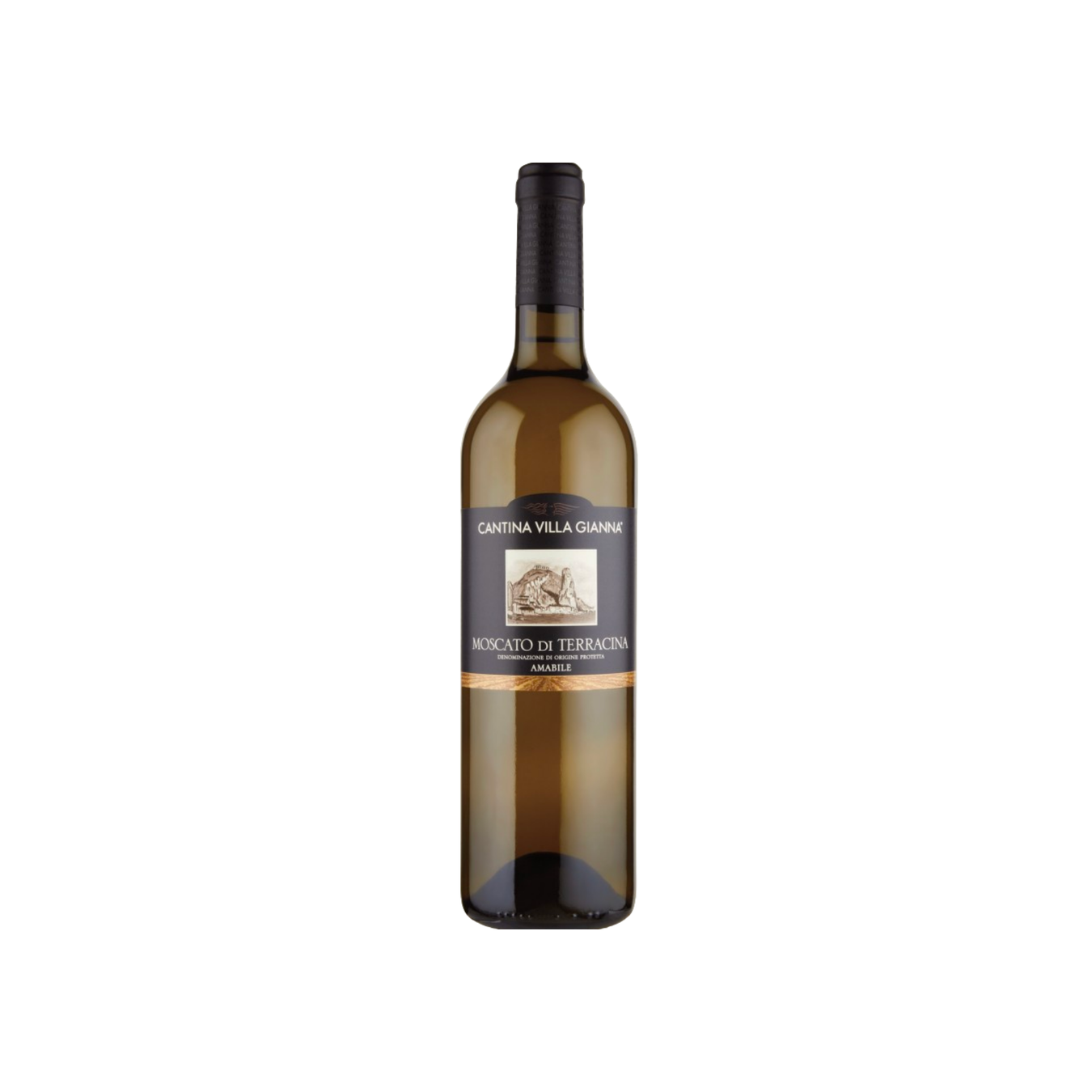 Wines from Lazio