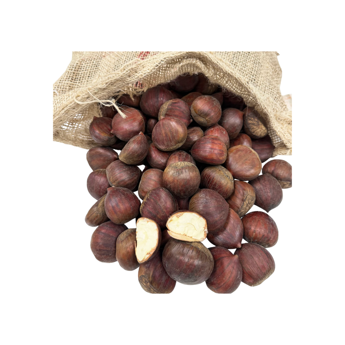 Fresh Chestnuts 38/40 (1 x 10 kg)