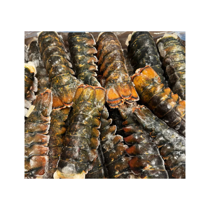 IQF Raw Lobster Tails (5–6 oz, 10 lb Box)