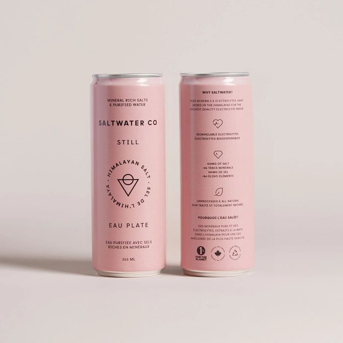 Saltwater Co Still Himalayan Salt Water (24 x 355 mL)