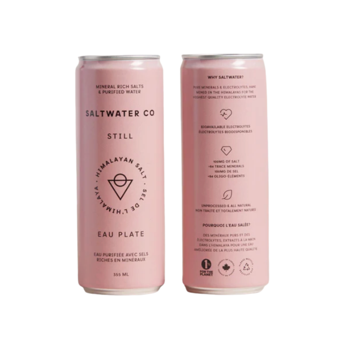Saltwater Co Still Himalayan Salt Water (24 x 355 mL)