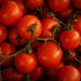 Pomod'oro Organic Tomato Sauce (6x340g)
